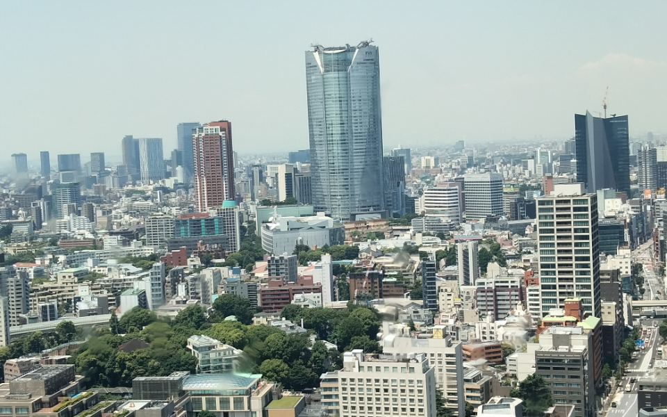 新入職員研修）はとバスツアー