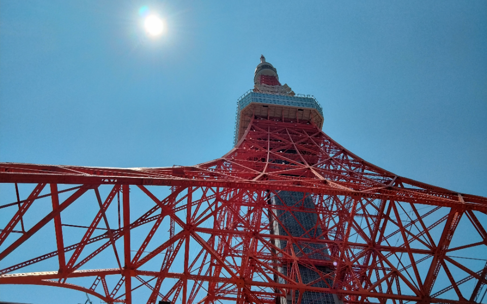 新入職員研修）はとバスツアー