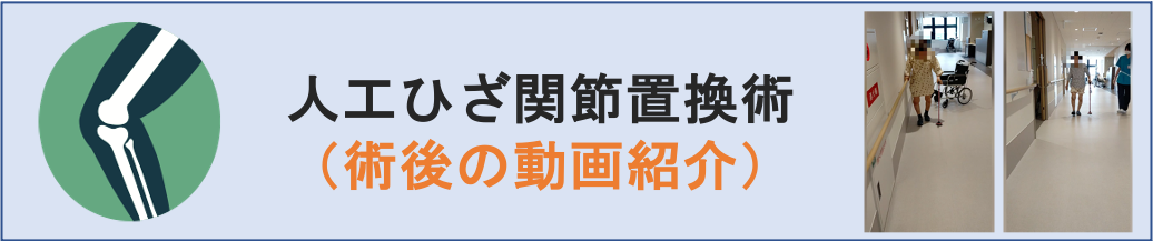 ひざ関節の疾患・治療