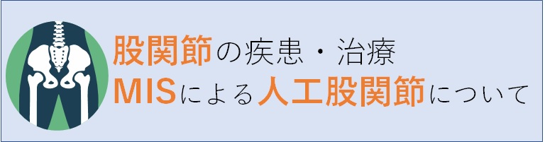 人口股関節